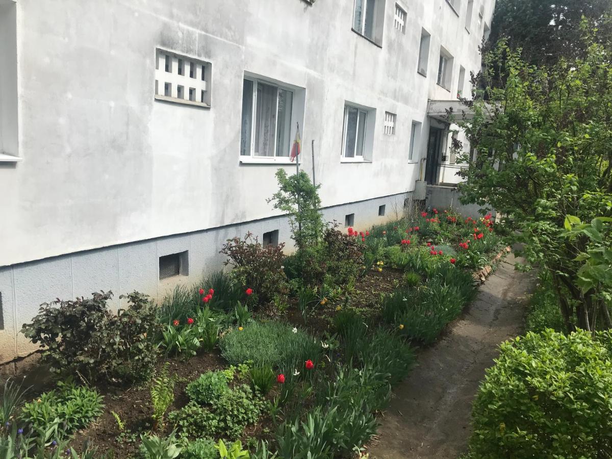 Colina Apartment Cluj-Napoca